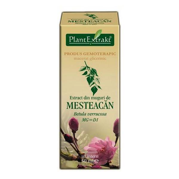 SHORT LIFE - Extract din Muguri de Mesteacan Plantextrakt, 50 ml