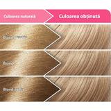 short-life-vopsea-permanenta-pentru-par-loncolor-ultra-nuanta-10-blond-cenusiu-1722419057880-2.jpg