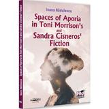 Spaces of Aporia in Toni Morrison's and Sandra Cineros fiction - Ioana Radulescu, editura Pro Universitaria