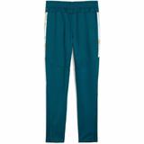 Pantaloni copii Puma Neymar Jr Creativity Training Pants Jr 65895713, 176, Albastru