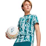 tricou-copii-puma-neymar-jr-creativity-logo-tee-jr-65896013-176-albastru-2.jpg