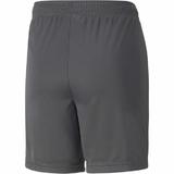 pantaloni-scurti-copii-puma-x-batman-training-shorts-jr-65802704-164-gri-2.jpg