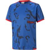 Tricou copii Puma X Batman Graphic Tee Jr 65802302, 176, Albastru