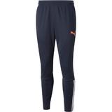 Pantaloni barbati Puma Teamliga Training Pants 65724247, M, Albastru