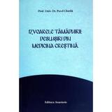 Izvoarele tamaduirii: deslusiri din medicina crestina - Pavel Chirila, editura Anastasis