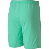 pantaloni-scurti-barbati-puma-teamfinal-21-knit-shorts-70425721-m-verde-5.jpg