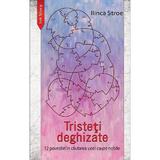 Tristeti deghizate. 12 povestiri in cautarea unei cauze nobile - Ilinca Stroe, editura Ink Story