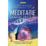 Meditatie la nivel celular - Barry Grundland, Patricia Kay, editura Prestige