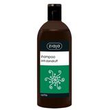 sampon-cu-urzica-pentru-par-gras-ziaja-family-nettle-shampoo-anti-dandruff-action-500-ml-1723184057267-1.jpg