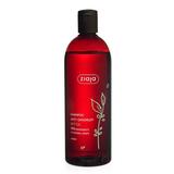 Sampon cu Urzica pentru Par Gras - Ziaja Family Nettle Shampoo Anti-Dandruff Action, 500 ml