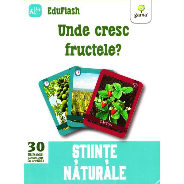 Umde Cresc Fructele? 3 Ani+ (eduflash)