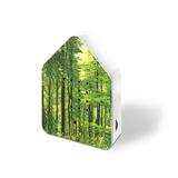 audiobox-cu-ciripit-de-pasari-sunete-ambientale-si-naturale-pentru-relaxare-si-ambianta-activare-cu-senzor-miscare-forest-2.jpg