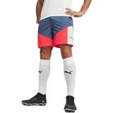 Pantaloni scurti barbati Puma Individualcup Shorts 65848553, S, Multicolor