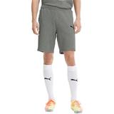 pantaloni-scurti-barbati-puma-teamgoal-23-65658133-xxxl-gri-3.jpg