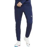 Pantaloni barbati Puma Teamfinal Training Pants 65738006, M, Albastru