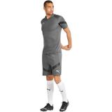 pantaloni-scurti-barbati-puma-teamfinal-training-shorts-65755313-xl-gri-2.jpg