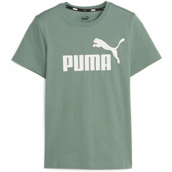 Tricou copii Puma Essentials Logo 58696045, 116, Verde