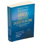 Baiatul care a fost crescut ca un caine si alte povesti din jurnalul unui psihiatru de copii - Bruce D. Perry, Maia Szalavitz, editura Herald