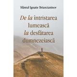 De la intristarea lumeasca la desfatarea dumnezeiasca - Ignatie Briancianinov, editura Egumenita