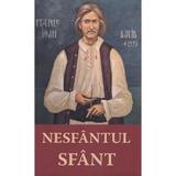 Nesfantul Sfant - Fratele Ioan David, editura Areopag