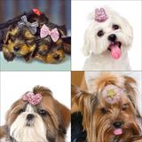 set-10-buc-fundite-si-accesorii-prindere-par-pentru-pisici-caini-mici-catei-sau-alte-animale-de-companie-cu-clips-roz-2.jpg