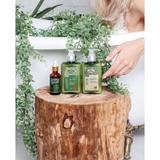 set-pentru-activarea-cresterii-parului-sampon-250-g-masca-250-g-tonic-50-g-tiande-biorehab-4.jpg