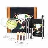 Set cadou pentru bauturi Gin Tonic Cocktail Silver 11 piese - Shaker din otel inoxidabil - 2 Pahare Gin-Tonic