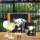 set-cadou-pentru-bauturi-gin-tonic-cocktail-silver-11-piese-shaker-din-otel-inoxidabil-2-pahare-gin-tonic-4.jpg