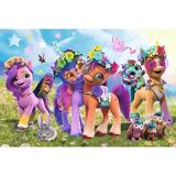 puzzle-100-my-little-pony-poneii-amuzanti-2.jpg