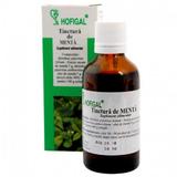 SHORT LIFE - Tinctura Menta Hofigal, 50ml