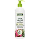 Sampon Volum si putere cu extracte de rozmarin si echinacea organice Cosmeplant, 400 ml