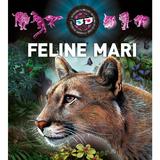 Feline Mari 3d, Editura Kreativ