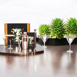 set-cadou-pentru-bauturi-cocktail-rose-7-piese-shaker-cocktail-din-otel-inoxidabil-2-pahare-martini-v-4.jpg