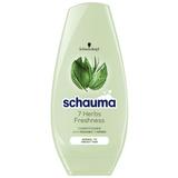 Balsam cu 7 Plante pentru Par Normal Spre Gras - Schwarzkopf Schauma 7 Herbs Freshness Conditioner for Normal to Grasy Hair, 250 ml