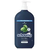 Sampon Antimatreata cu Hamei pentru Barbati - Schwarzkopf Schauma Men Anti-Dandruff Intensive Shampoo with Hops, 750 ml