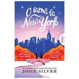 O iarna la New York - Josie Silver, editura Nemira