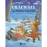 Craciunul in Padurea Troienita. Aldo si banda de talhari - Astrid Mola, Angelica Rissmann, editura Booklet