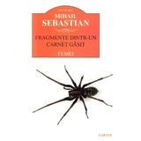 Fragmente dintr-un carnet gasit. Femei - Mihail Sebastian, editura Cartex