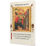 Canoane de rugaciune la Intrarea in Biserica a Maicii Domnului - Sfantul Nicodim Aghioritul, editura Doxologia