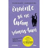 Inainte sa ne luam ramas-bun - Toshikazu Kawaguchi, editura Litera