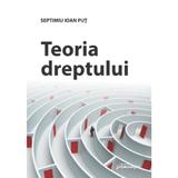 Teoria dreptului - Septimiu Ioan Put, editura Hamangiu