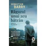 Ragazul unui zeu batran - Sebastian Barry, editura Trei