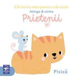 Prietenii! Atinge si simte. Carticica mea pentru carucior, editura Arc