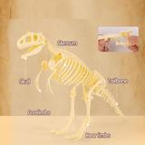 set-creativ-fossile-detective-tyrannosaurus-4.jpg