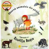 Observa animalele din padure impreuna cu Scufita Rosie - Jana Sediackova, Stepanka Sekaninova, editura Cartego