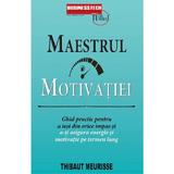 Maestrul motivatiei - Thibaut Meurisse, editura Business Tech