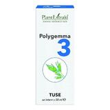 SHORT LIFE - Polygemma Nr 3 Tuse Plantextrakt, 50 ml