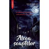 Aleea soaptelor - Ionut Gabriel Ghionea, editura Ink Story