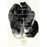 Polen cazut pe nicio fericire - Ion Caraion, editura Cartier