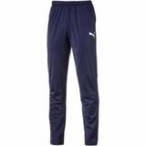 Pantaloni barbati Puma Men Liga Pants Core 65577006, XL, Albastru